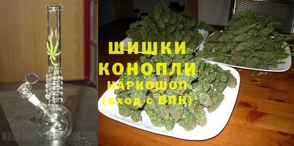 дурь Пестово