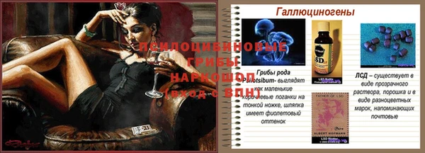 дурь Пестово