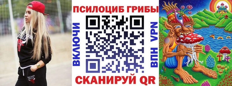Галлюциногенные грибы Psilocybe  Туран 