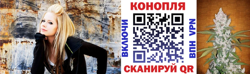 где продают   Туран  Бошки Шишки сатива 
